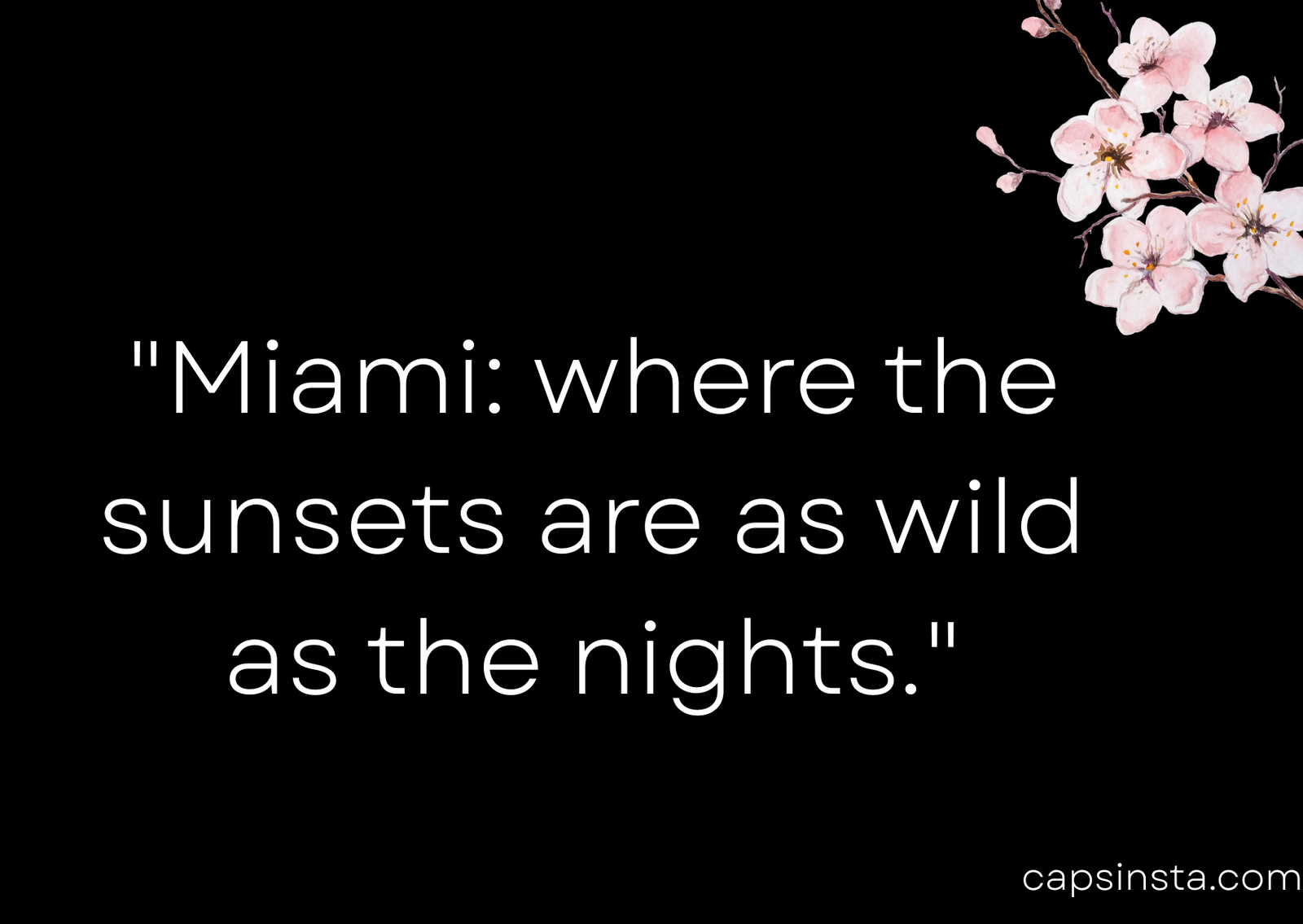 Miami Captions for Instagram